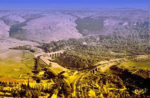 SAIDA 039  COL_ MONNERET